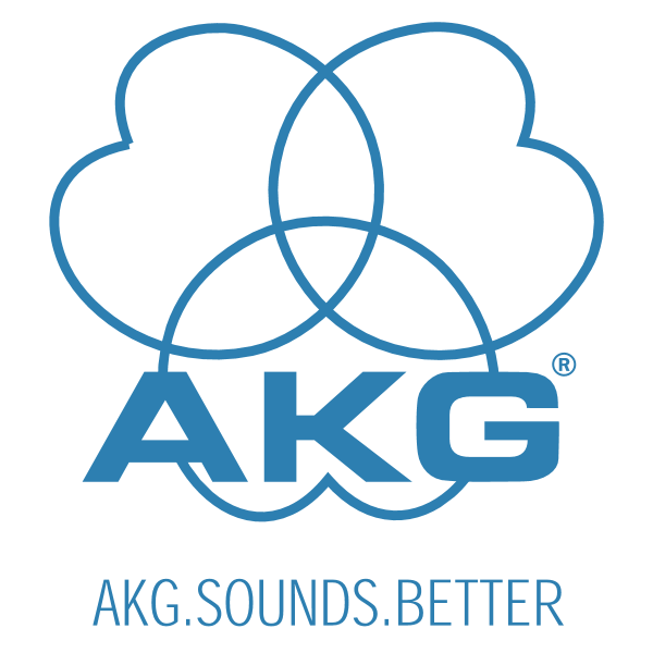 Akg C151 Small Diaphragm Cardioid Condenser Microphone ( C 151 C-151 ) Replace P170 P-170