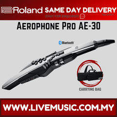 Roland Aerophone Pro AE-30 digital wind instrument with black carrying bag