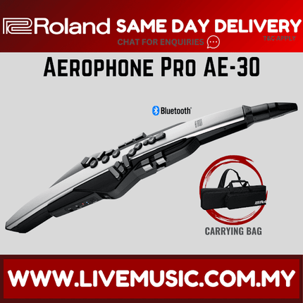 Roland Aerophone Pro AE-30 Digital Wind Instrument, Professional-Grade & Refined Design & Advanced Sound Engines (AE30 )