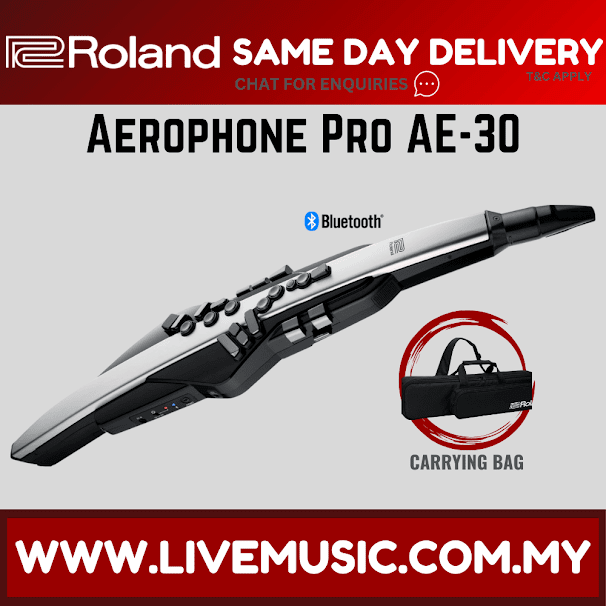 Roland Aerophone Pro AE-30 Digital Wind Instrument, Professional-Grade & Refined Design & Advanced Sound Engines (AE30 )