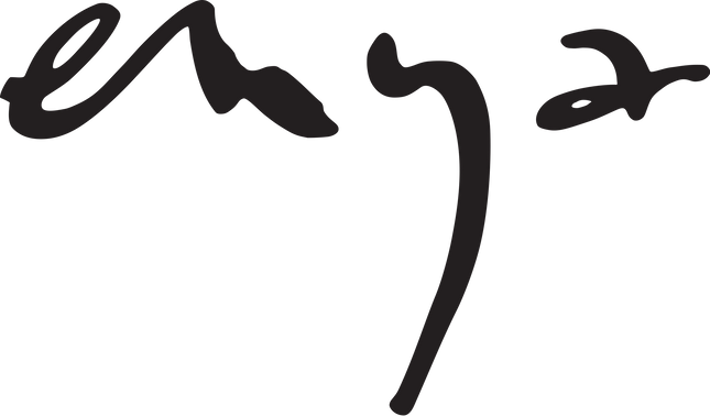 Enya EGA-X1 Pro Grand Auditorium Cutaway Solid Spruce Top Acoustic Guitar with Gig Bag (EGA X1 PRO EGAX1PRO)