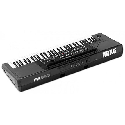 Korg Pa300 - 61 Key Arranger Workstation with FREE Adapter (Pa-300)