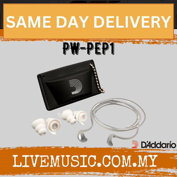 D'Addario Planet Waves PW-PEP1 Pacato Full Frequency Earplugs - Universal Fit (PWPEP1/DAddario)