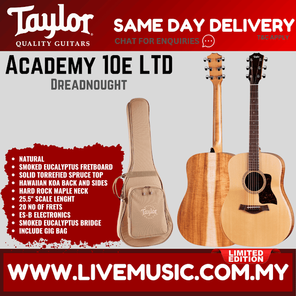 Natural dreadnought acoustic-electric guitar with gig bag, Taylor Academy 10e LTD