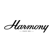 Harmony Foundation Series e-Terra Petite Dreadnought Acoustic Guitar w/Bag, Natural Satin