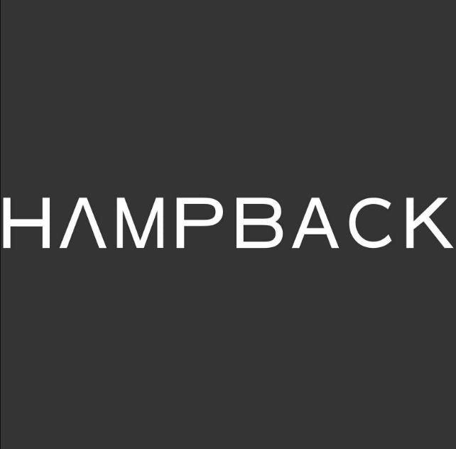 Hampback SK50 50'W Power Bluetooth Drum Monitor Amplifier  - (  SK50  SK 50 )