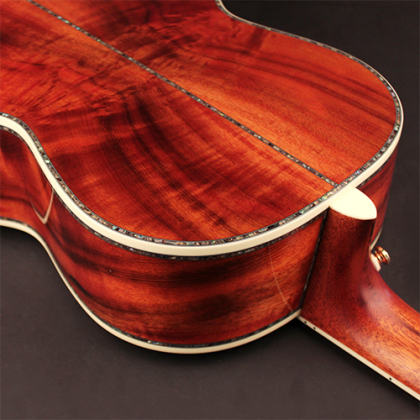Cort PR-LE MY Limited Edition Acoustic-Electric Guitar with Hardcase - Natural Glossy (PRLE MY/PRLEMY)