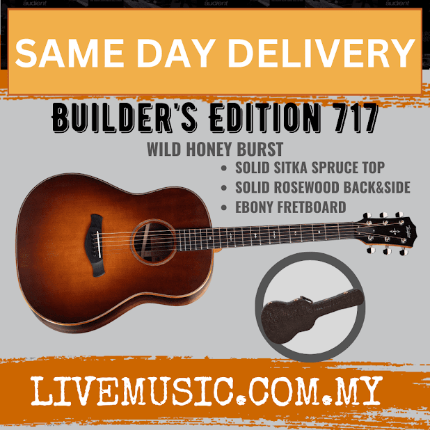 Taylor Builder's Edition 717 V-Class Grand Pacific Acoustic Guitar w/Case, Wild Honey Burst Top