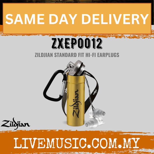 Zildjian ZXEP0012 Standard Fit Hi-Fi Earplugs ( ZXEP 0012 / ZXEP-0012 )