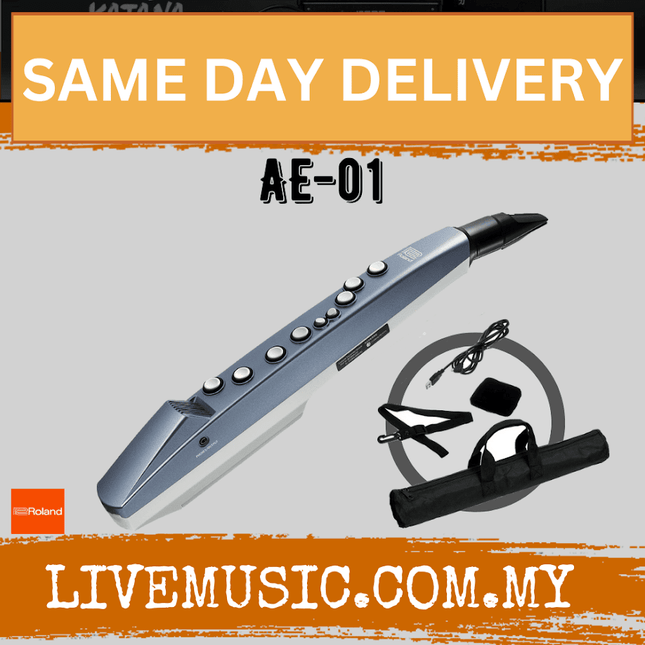 Roland Aerophone AE-01 Mini Digital Wind Instrument ( AE01 / AE 01)