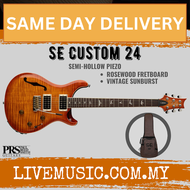 PRS SE Custom 24 Semi-Hollowbody Piezo Electric Guitar, RW FB