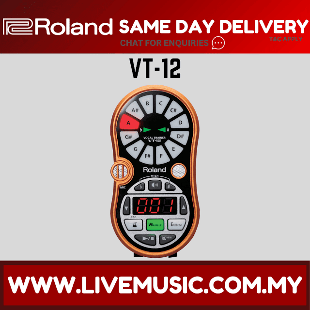 Roland VT-12 Vocal Trainer Orange (VT12)