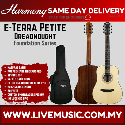 Harmony Foundation Series e-Terra Petite Dreadnought Acoustic Guitar w/Bag, Natural Satin