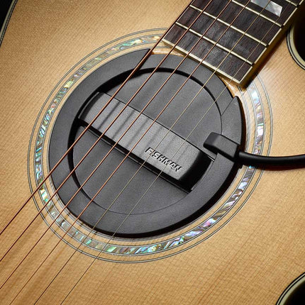 Fishman Neo-Buster Humbucker - Soundhole Acoustic Guitar Pickup and Feedback Buster