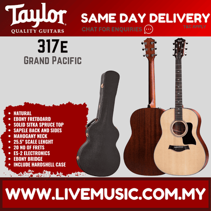 Taylor 317e Grand Pacific V-Class - Natural with Hardcase (317-e / 317 e)