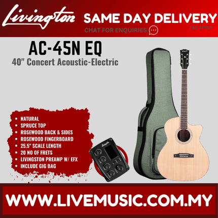 Livingston AC-45N EQ 41" Full Solid Acoustic Guitar, Rosewood FB, Natural ( AC45N AJ 45N )