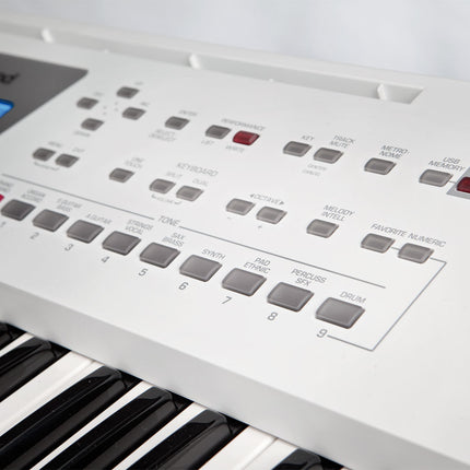 Roland BK-3 - 61 Keys White Backing Keyboard with Note Stand and Adapter (BK3/BK 3)