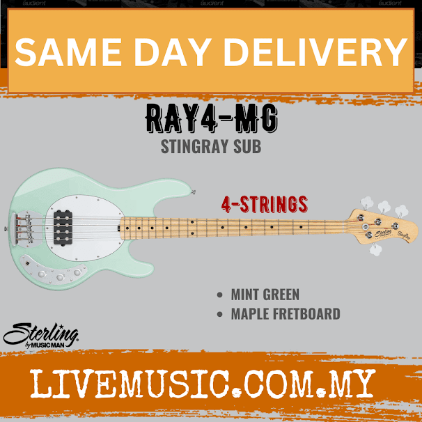 Sterling Ray4 Stingray 4-String Electric Bass Guitar Maple Fretboard - Mint Green (Ray-4/Ray 4)