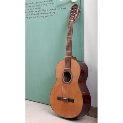 Cort AC250 Classical Guitar with Gig Bag - Open Pore (AC 250/AC-250)