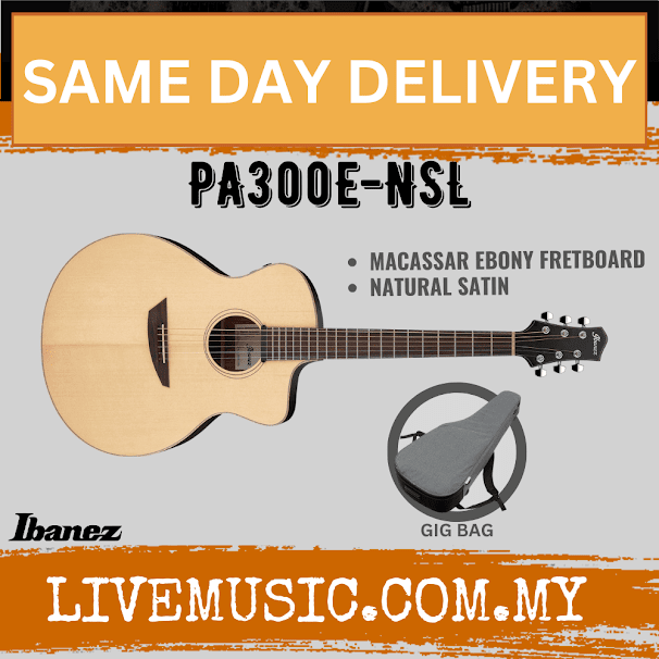 Ibanez PA300E-NSL Acoustic-Electric Guitar - Natural Satin Top ( PA300ENSL / PA300E NSL )