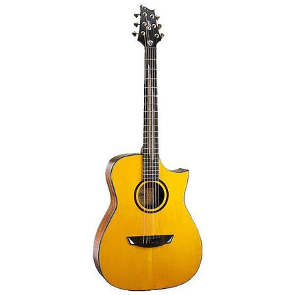 Cort Luxe - Frank Gambale Signature Model Acoustic-Electric Guitar with Gig Bag - Natural Glossy