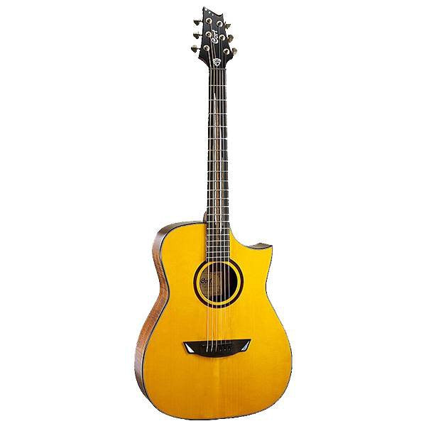 Cort Luxe - Frank Gambale Signature Model Acoustic-Electric Guitar with Gig Bag - Natural Glossy