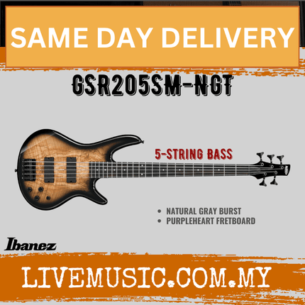 Ibanez GSR205SM GIO Series 5-Strings Electric Bass Guitar - Natural Grey Burst (GSR205SM-NGT)