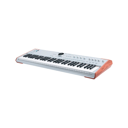 Arturia AstroLab 61 Stage Keyboard, Silver ( ASTROLAB61 ASTROLAB-61 )