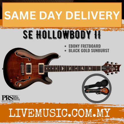 PRS SE Hollowbody II Electric Guitar w/Case, Black Gold Sunburst
