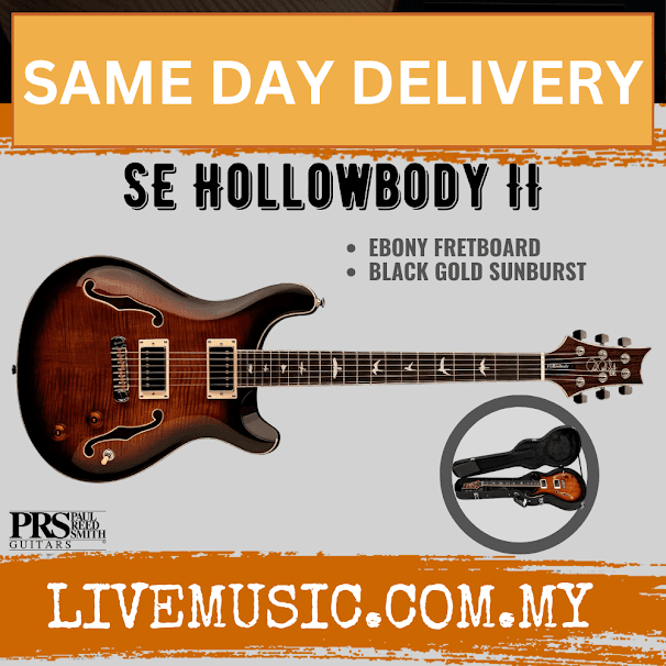 PRS SE Hollowbody II Electric Guitar w/Case, Black Gold Sunburst