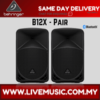 B12X-Pair