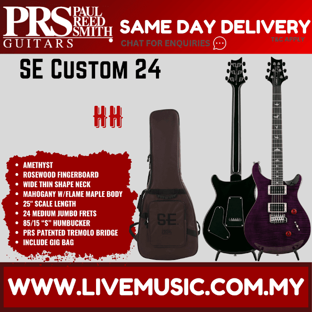 PRS SE Custom 24 Electric Guitar w/bag , Amethyst