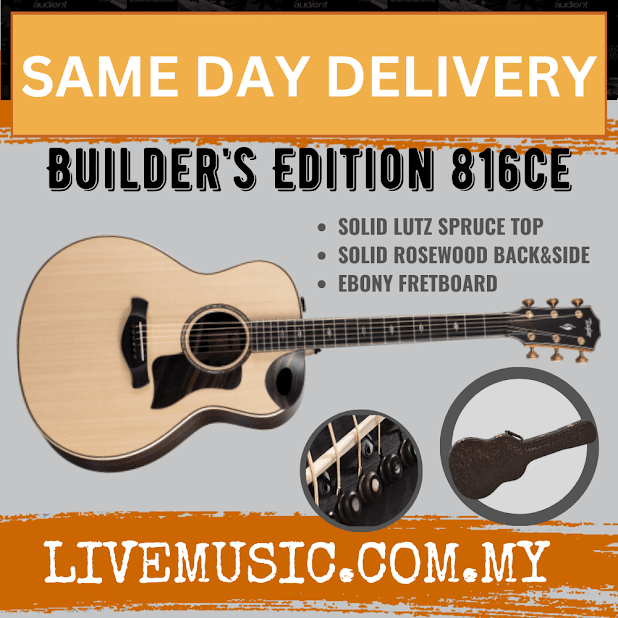 Taylor Builder's Edition 816ce V-Class Grand Symphony Acoustic Guitar w/Case, Natural