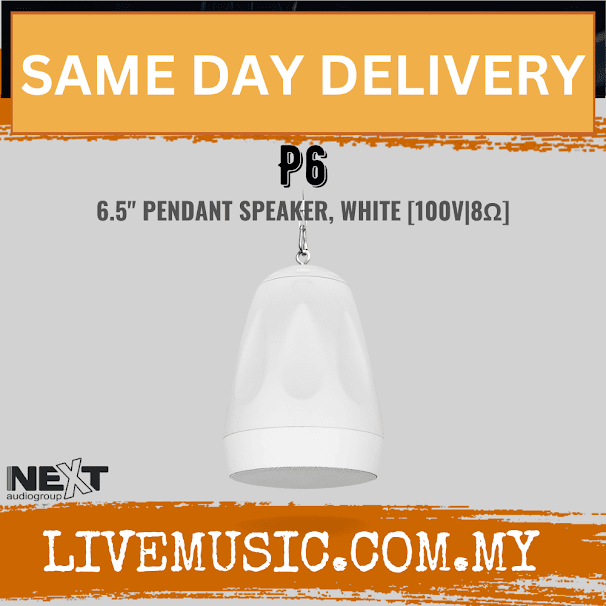 Next Audio P6 6.5" Pendant Speaker, Black / White ( P-6 / P 6 )