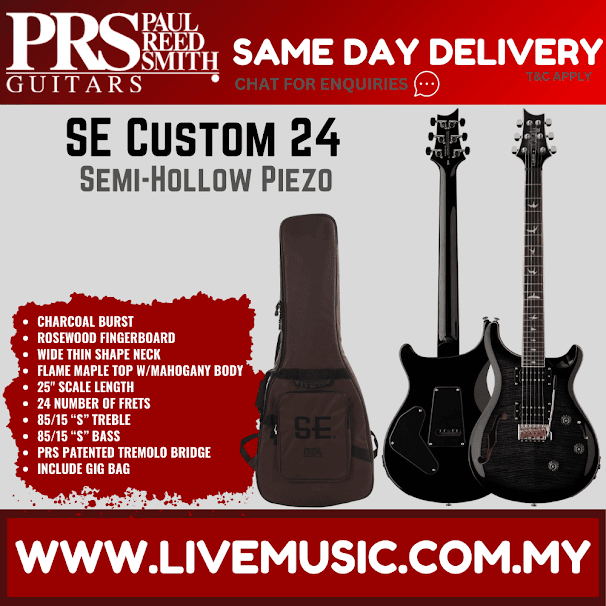 PRS SE Custom 24 Semi-Hollow Piezo w/GigBag, Rosewood FB, Charcoal Burst
