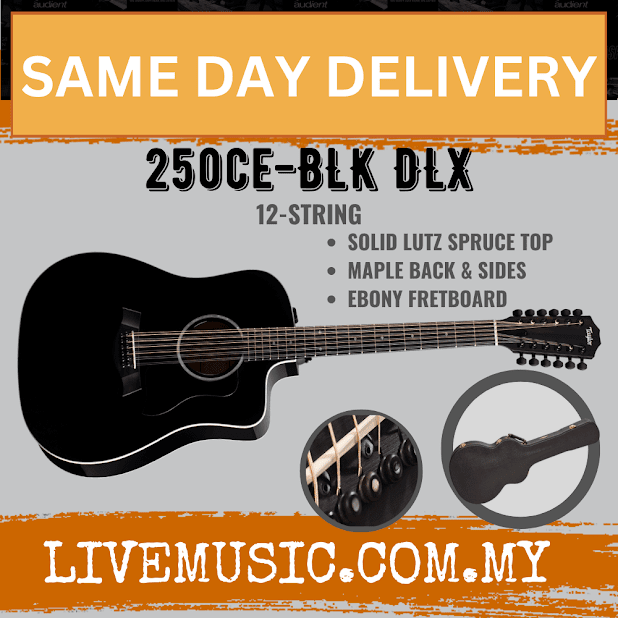 Taylor 250ce Deluxe Dreadnought 12-String Acoustic Guitar w/Case, Black