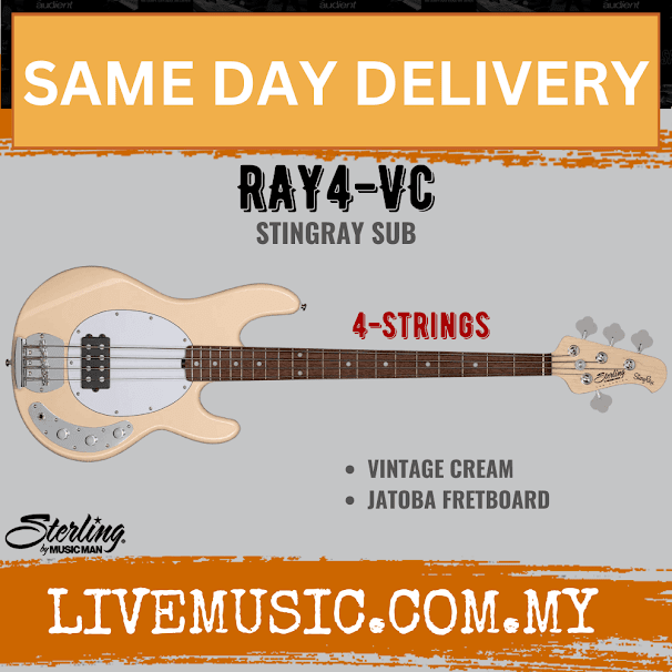 Sterling Ray4 Stingray 4-String Electric Bass Guitar Jatoba Fretboard - Vintage Cream (Ray-4/Ray 4)