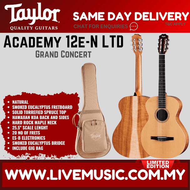 Natural acoustic electric guitar with gig bag; Taylor headstock; limited edition badge