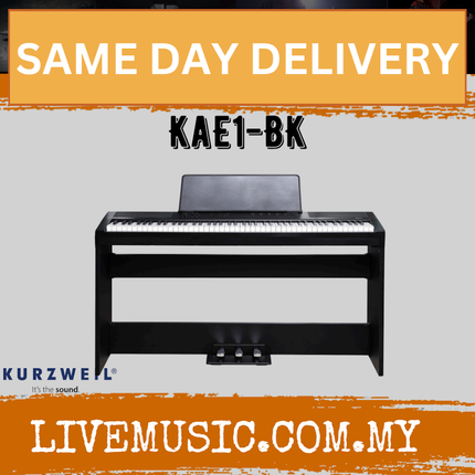 Kurzweil KaE1 Portable Digital Piano with ST-3 Keyboard Stand - Black ( Ka E1 Ka-E1 )