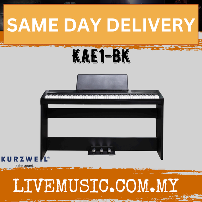 Kurzweil KaE1 Portable Digital Piano with ST-3 Keyboard Stand - Black ( Ka E1 Ka-E1 )