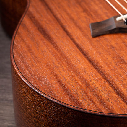 Taylor GTe Mahogany Grand Theater Acoustic Guitar w/Aerocase, Natural