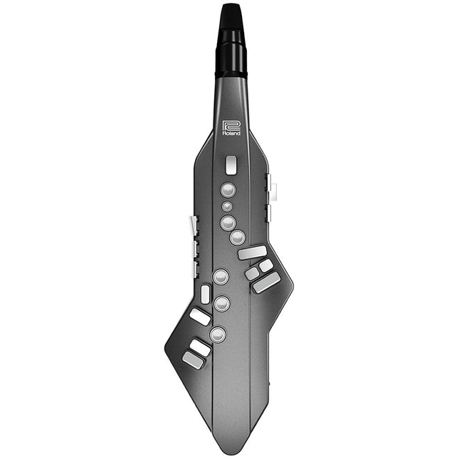Roland AE-10G Aerophone Digital Wind Instrument Graphite ( AE-10 / AE10 / AE10G )