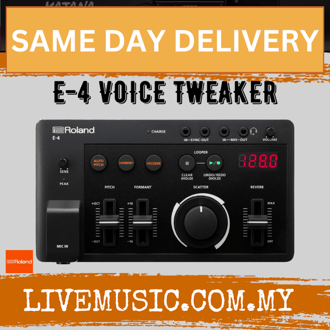 Roland Aira Compact E-4 Voice Tweaker Portable Vocal Processor and Looper with Auto Pitch (E4)