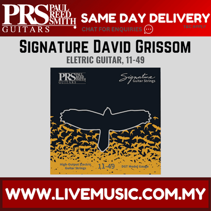 PRS Signature David Grissom Electric Guitar Strings, 11-49