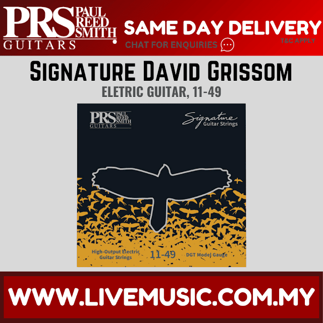 PRS Signature David Grissom Electric Guitar Strings, 11-49
