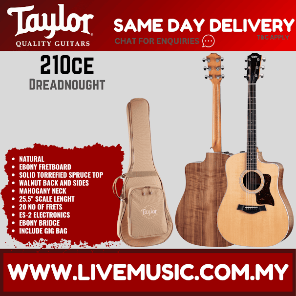 Taylor 210ce Dreadnought Acoustic Guitar w/ Bag