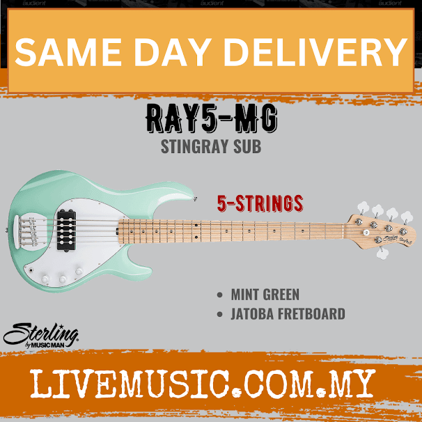 Sterling Ray5 Stingray 5-String Electric Bass Guitar Jatoba Fretboard - Mint Green (Ray-5/Ray 5)