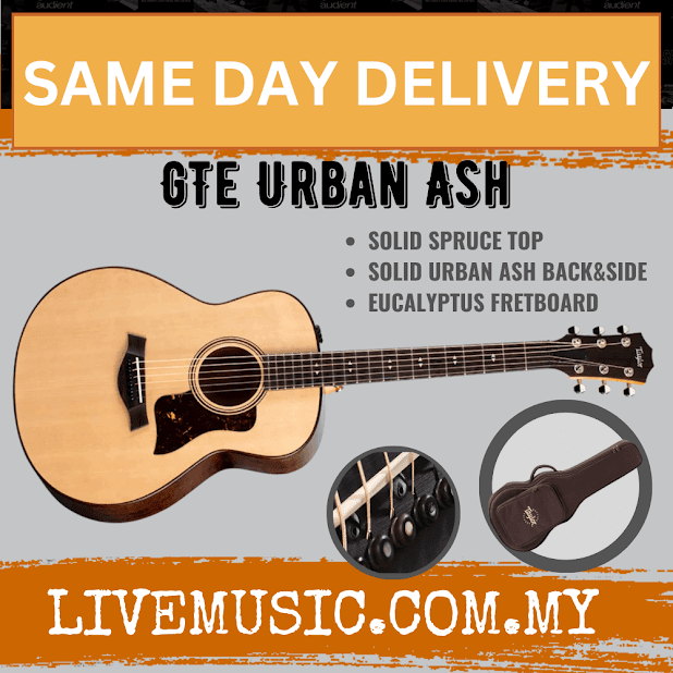 Taylor GTe Grand Theater Urban Ash Acoustic Guitar w/AeroCase