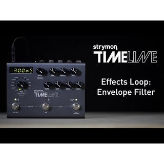 Strymon Timeline Multidimensional Delay Effect pedal with 30-second Looper / Loop
