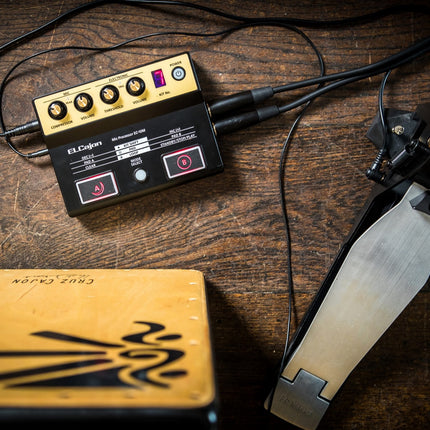Roland EC-10M - EL Cajon Microphone Processor (EC10M/EC10)